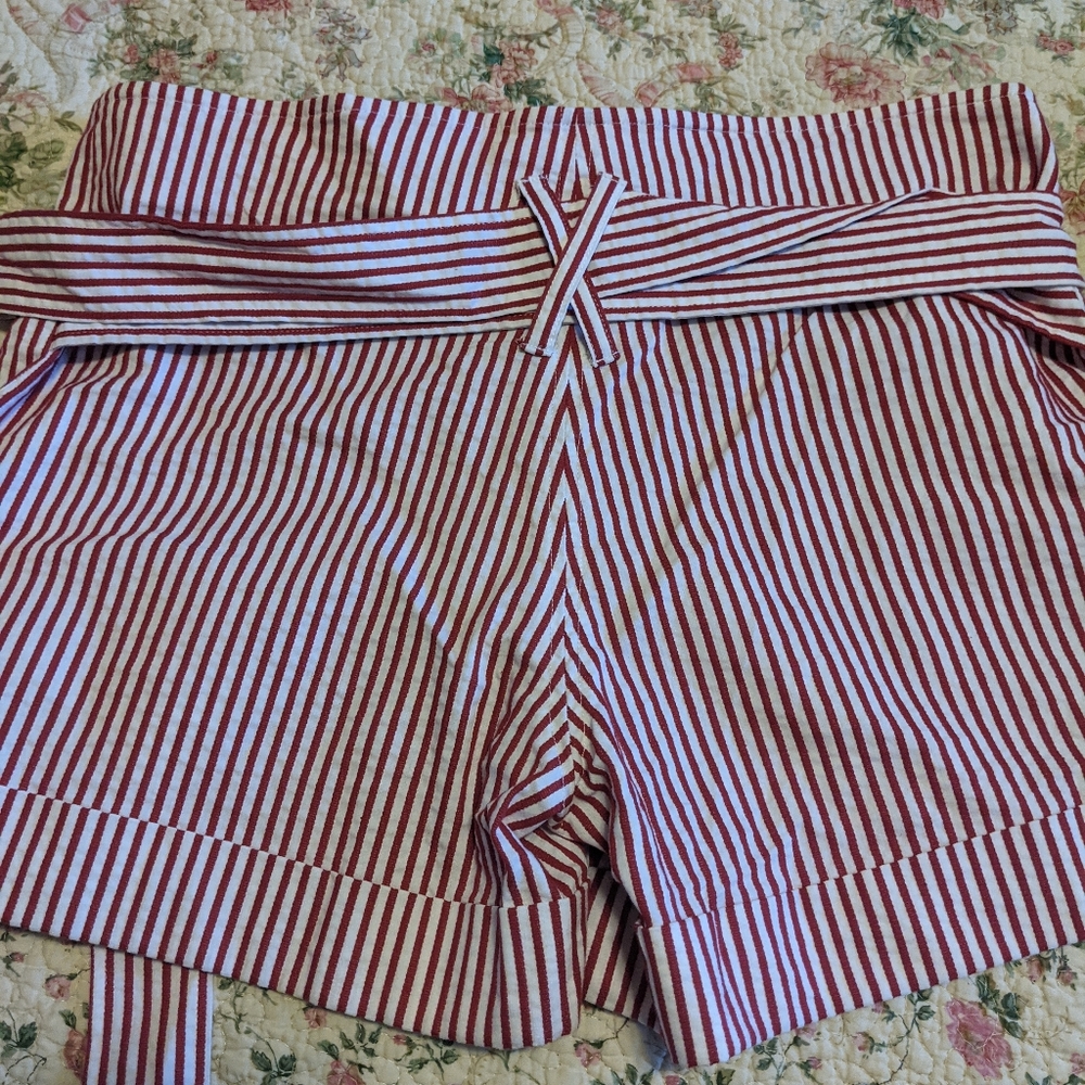 Brand new with tags shorts, size 10